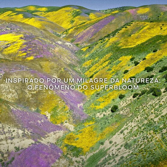 AQUA ALLEGORIA FLORA BLOOM EDT - 40ML